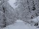 Učka pod snijegom (foto: Doris KRAMARIĆ)