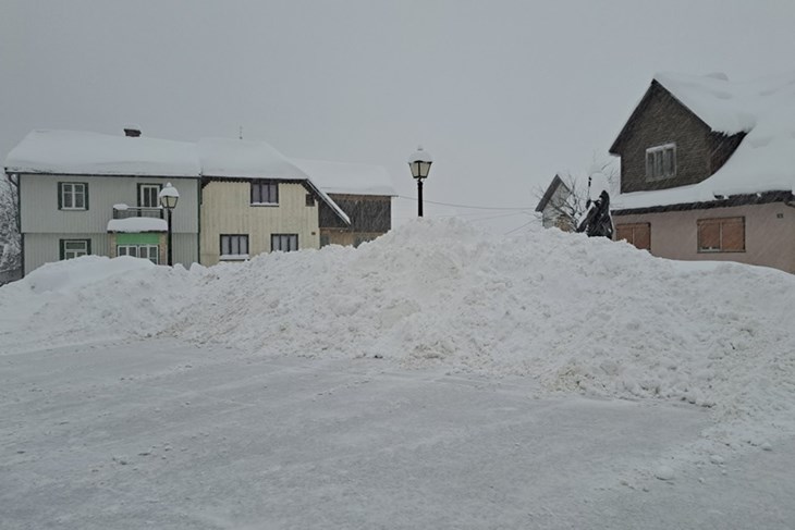 Tršće (Snimila Diana Zbašnik / Istramet) 