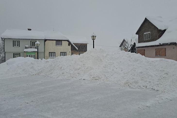 Tršće (Snimila Diana Zbašnik / Istramet) 