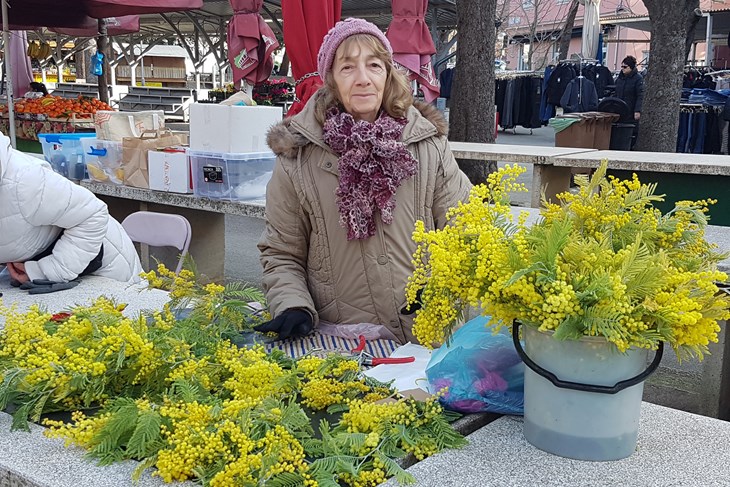 (Snimila Mirjana Vermezović Ivanović)