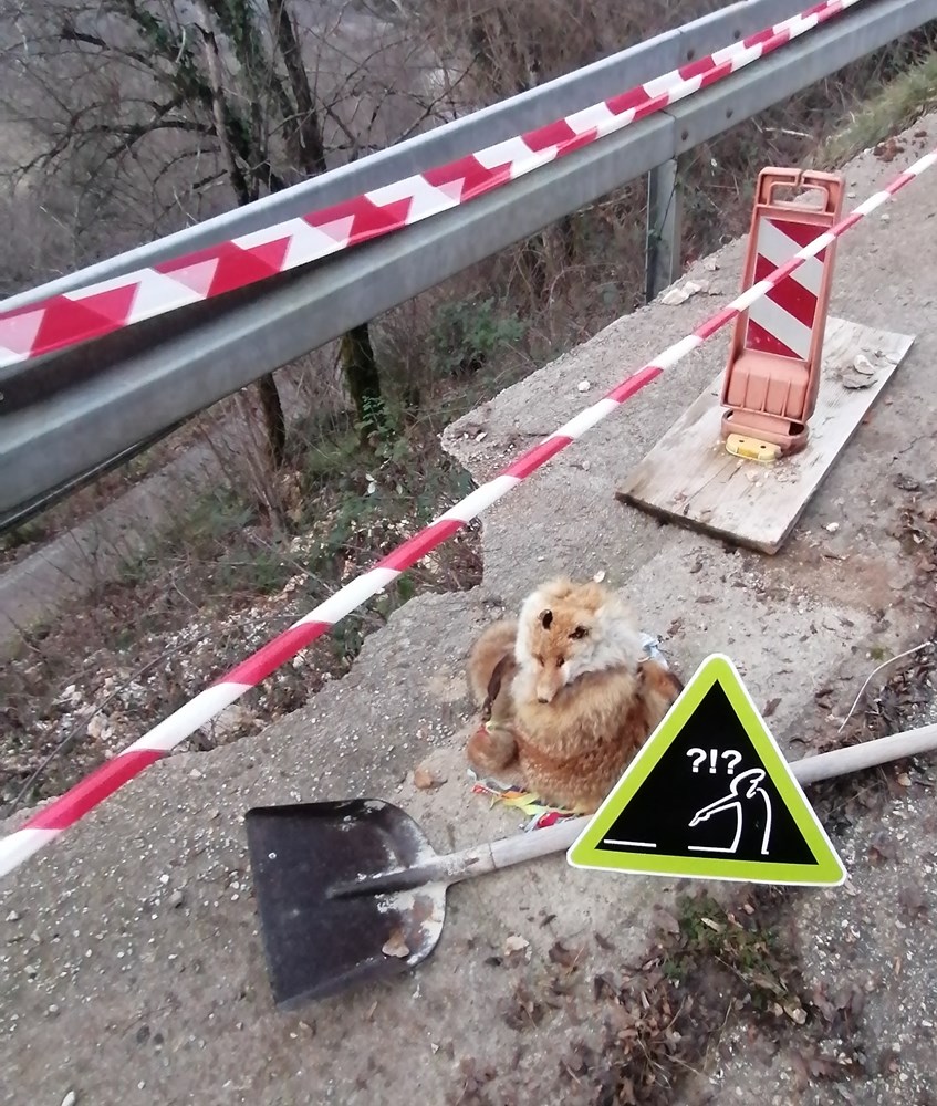 (Snimio Mirjan Černeka)