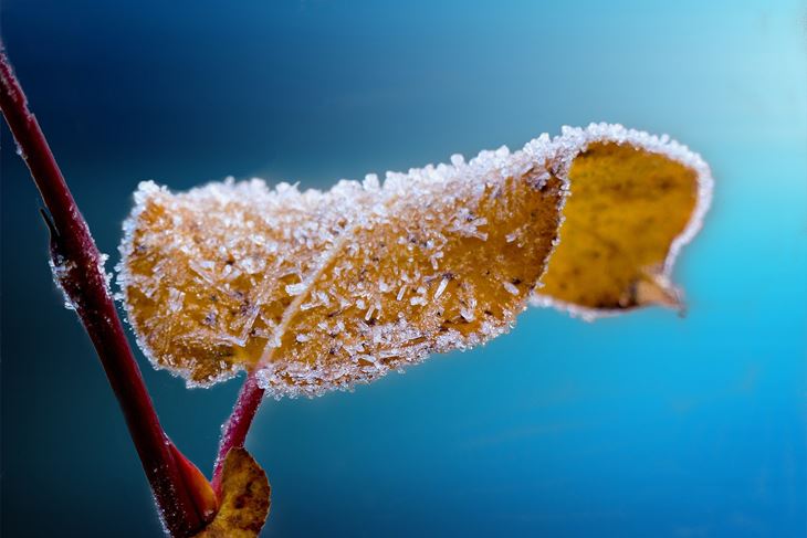 Ilustracija (foto: Pixabay)