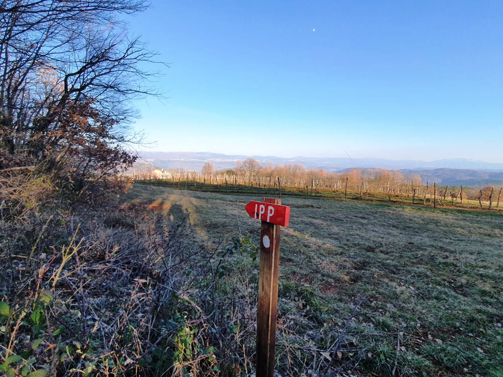 Foto: Roberto Špelić