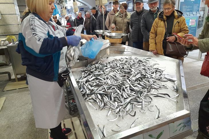 Dugački red za srdele (Snimila Jasna Orlić)