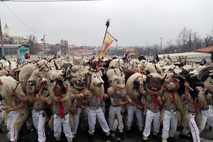 Halubajski zvončari