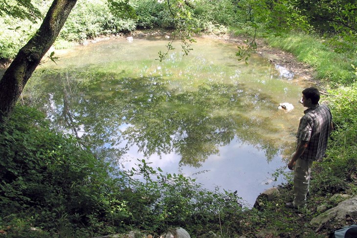 Učkarska lokva (foto: JU Park prirode Učka)