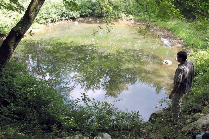 Učkarska lokva (foto: JU Park prirode Učka)
