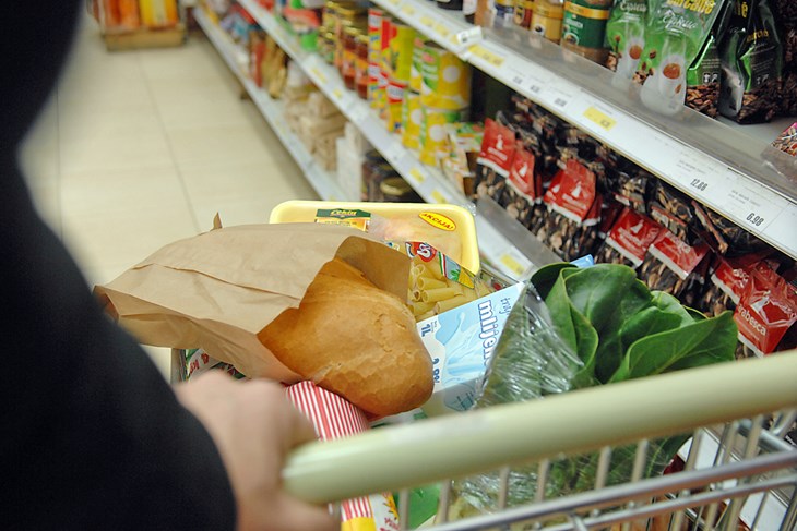 kosarica namirnice hrana poskupljenje kolica trgovacki centarArhiva