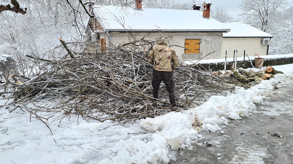 Uklonili stablo i granje s krova (Snimio Saša Aleksić)