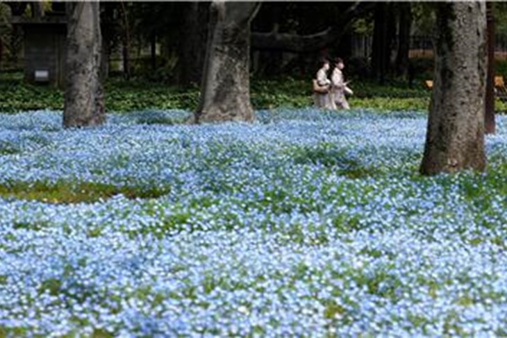 (Hina/EPA)