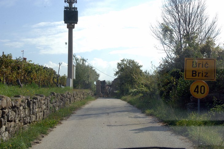 Incident se dogodio na cesti između mjesta Kortina i Brič na Bujštini