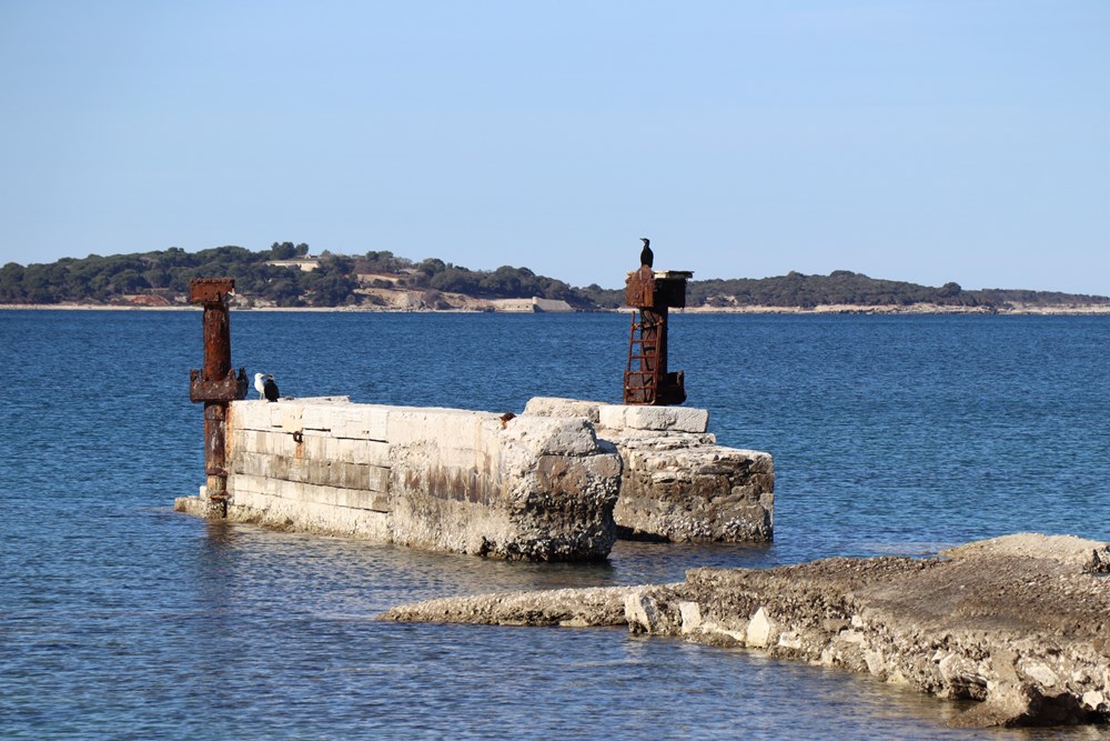 Martulina