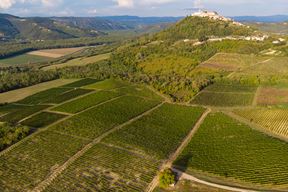 foto Colours of istria