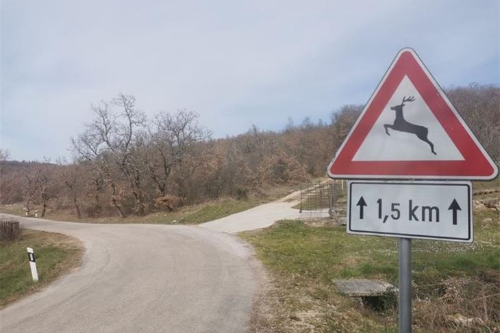 Ilustracija (foto: Pu istarska)