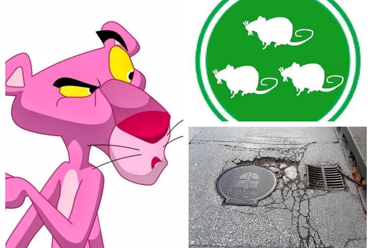 Najpoznatije profilne fotografije na facebooku Milana Nenezića