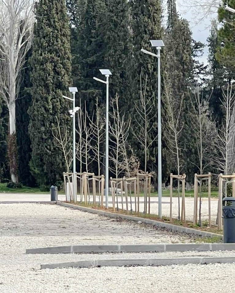Mandrač