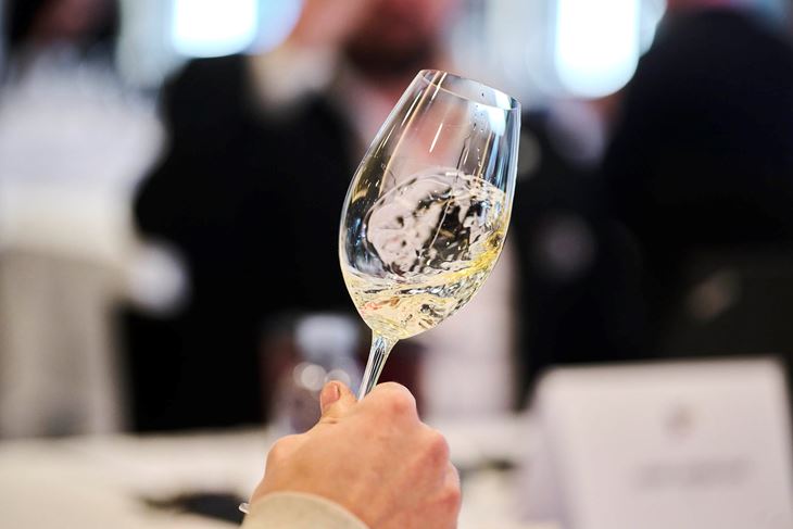 Vinistra, vino, malvazija, teranMerlo de Graia