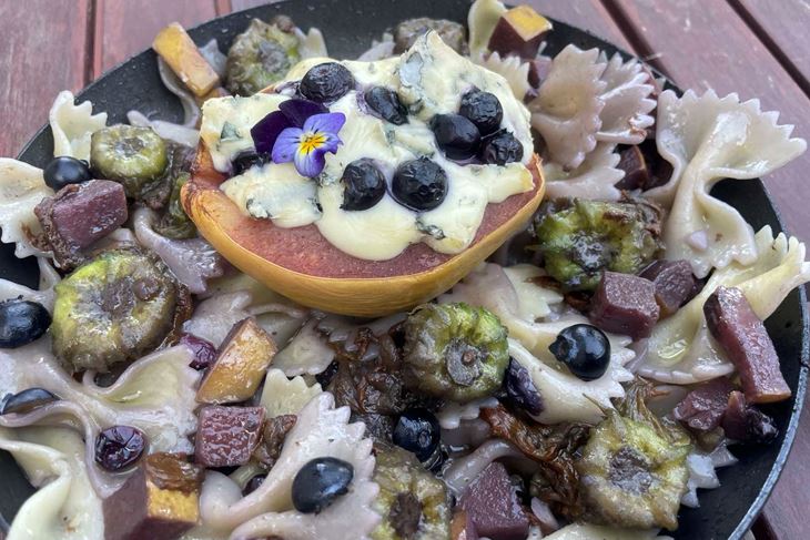 Farfalle primaverili