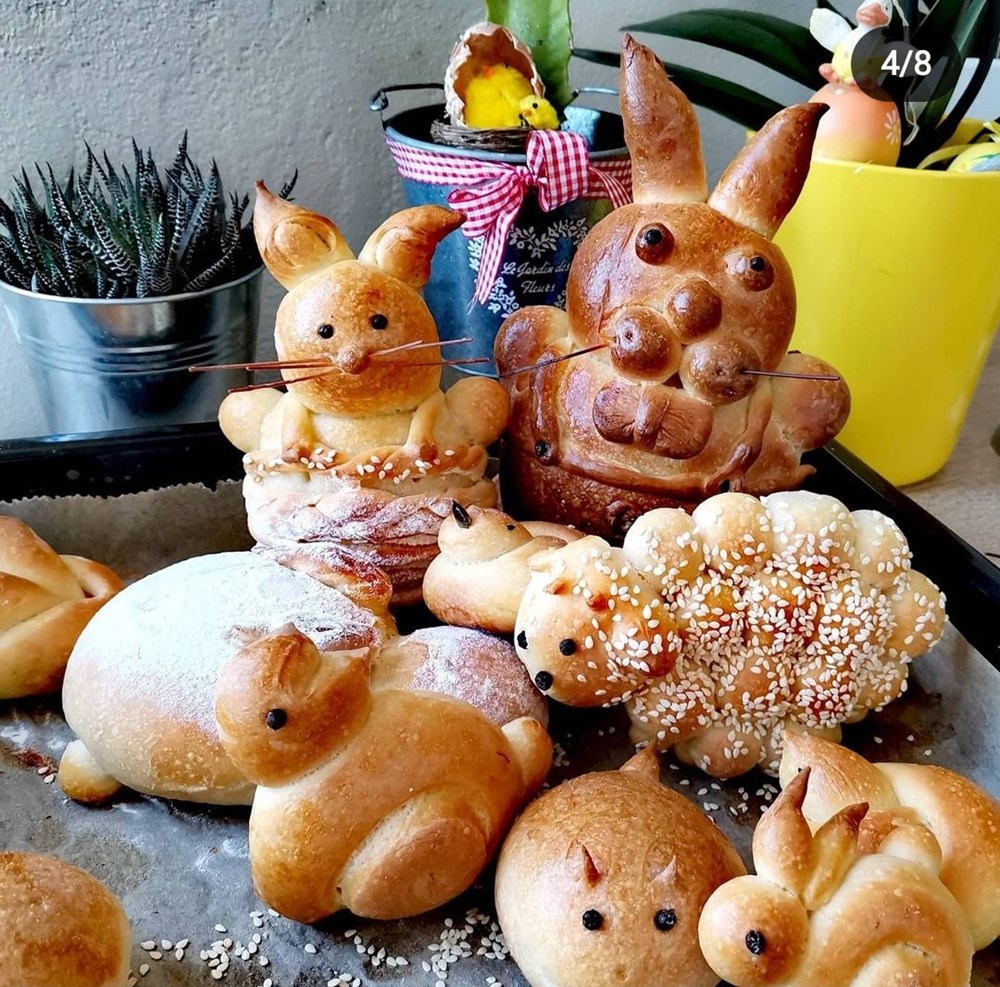 Zečići, pilići…