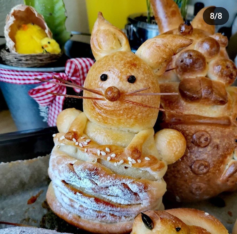 Zečići, pilići…