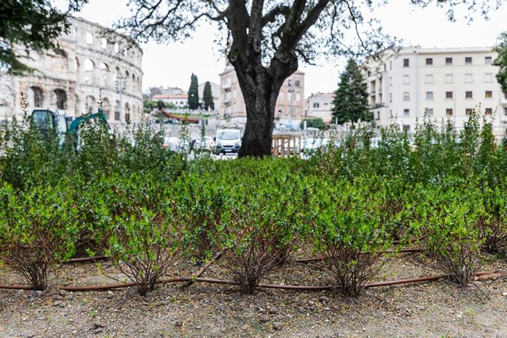 Foto : Grad Pula