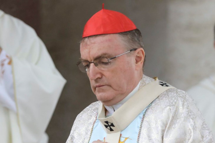  Josip Bozanic (foto:  Željko Puhovski / CROPIX)