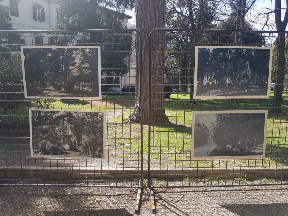 "Dođi u park" (snimio Duško MARUŠIĆ ČIČI)