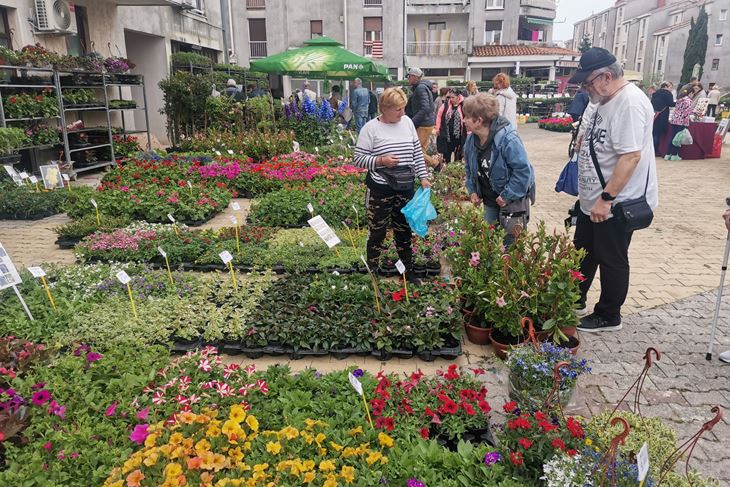 Bogata ponuda cvijeća i sadnica (snimio Branko BIOČIĆ)