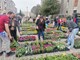 OPG Mađarić došao je iz Podravine (snimio Branko BIOČIĆ)