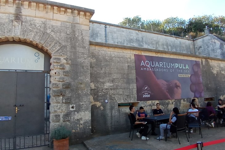 Aquarium (Arhiva)