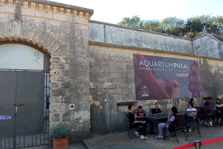Aquarium (Arhiva)
