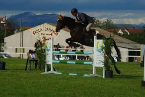 Istra kup u Barbanu