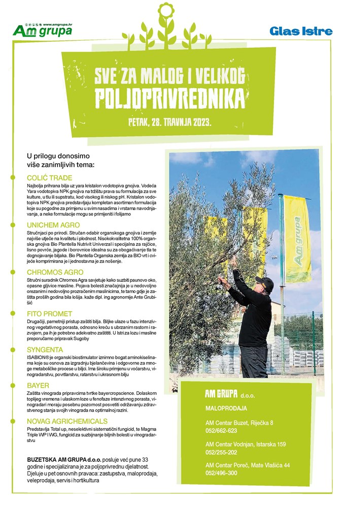 Am grupa Prilog