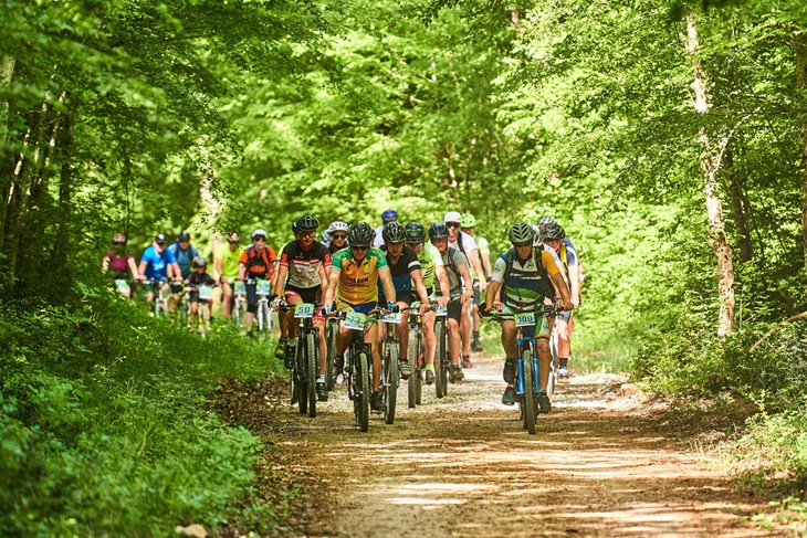 Bicikliranje predivnom šumom Kontija iznad Limskog kanala