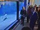 Otvorenje obnovljenog pulskog Aquariuma (snimio Duško MARUŠIĆ ČIČI)