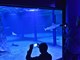 Otvorenje obnovljenog pulskog Aquariuma (snimio Duško MARUŠIĆ ČIČI)I