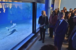 Otvorenje obnovljenog pulskog Aquariuma (snimio Duško MARUŠIĆ ČIČI)