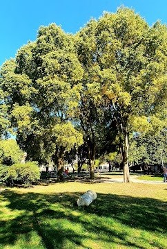 Foto: Grad Pula