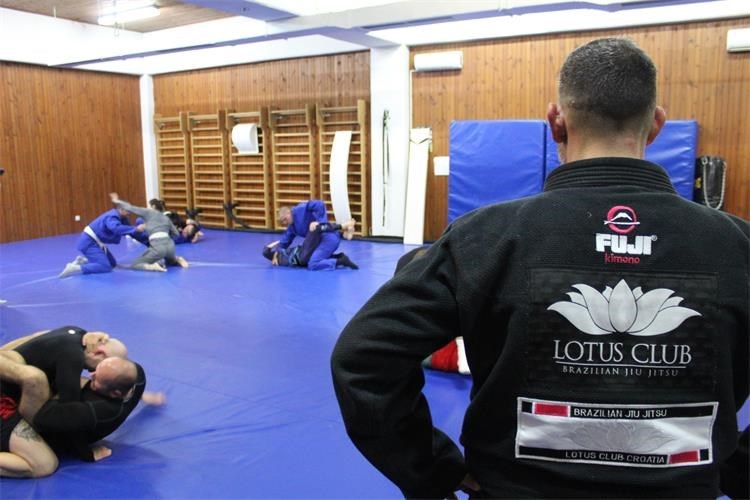 Pulski interventni policajci na jiu-jitsu obuci (Foto: PU istarska)