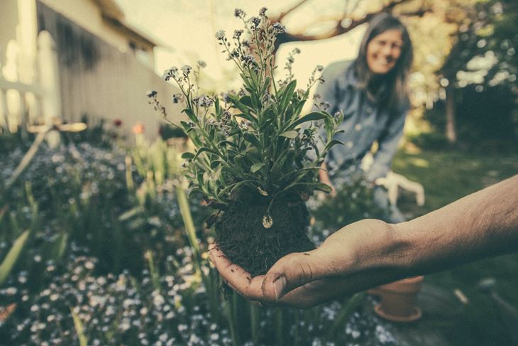 Foto: Benjamin Combs/Unsplash