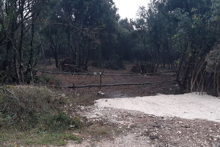 Devastacija u Paludu