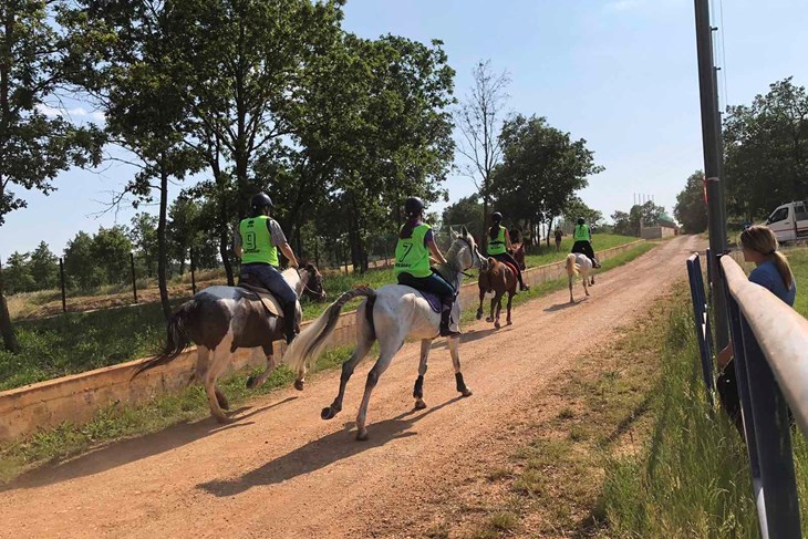 Istarska endurance liga 