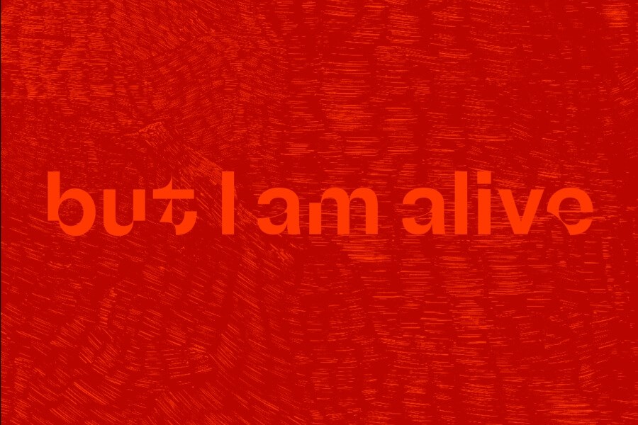 Naslovnica kataloga koji prati izložbu "But I Am Alive"