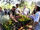 PULA,03 06 2023,DAN MJESNOG ODBORA SISPLAC-SV.POLIKARPSnimio Danilo MEMEDOVIC