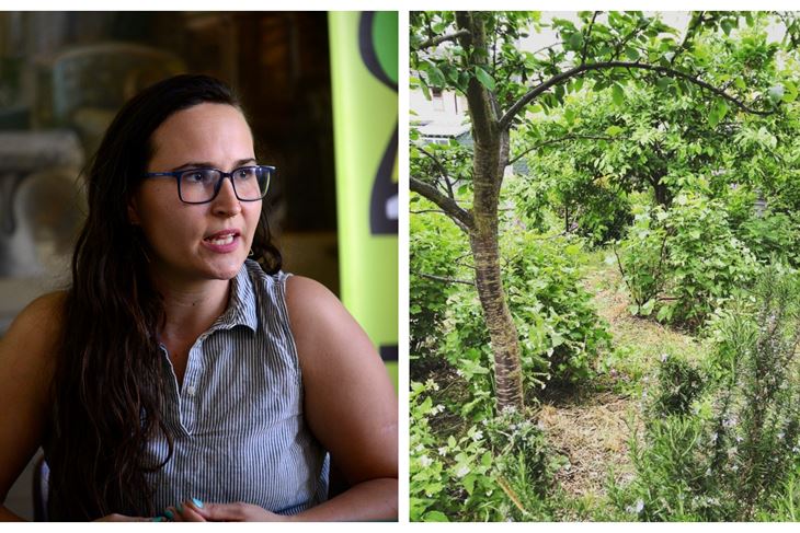 Petra Pavleka (snimio Dejan ŠTIFANIĆ) /  U šumskom vrtu u gradu može biti posađeno tek nekoliko biljaka, a može se stvoriti i cijela jedna velika zajednica  
