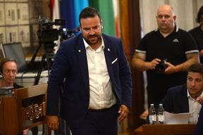 Filip Zoričić jučer na Vijeću (snimio Dejan ŠTIFANIĆ)