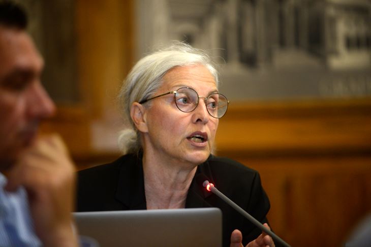 Dušica Radojčić (snimio Dejan ŠTIFANIĆ)