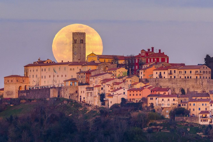 Vučja motovunska Luna (Branko NAĐ)