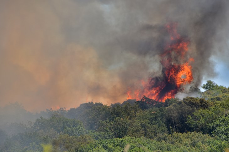 Požar u Puli (foto: Duško MARUŠIĆ ČIČI)