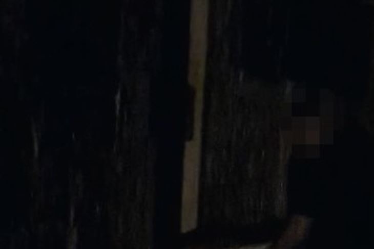 (Foto: Screenshot Dalmacija danas)